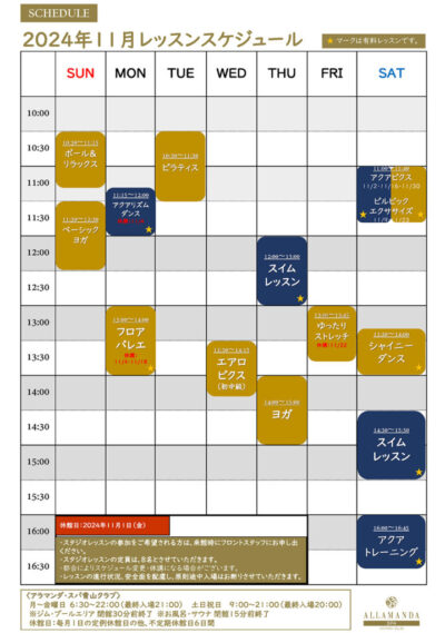 Lesson Schedule 2024.11